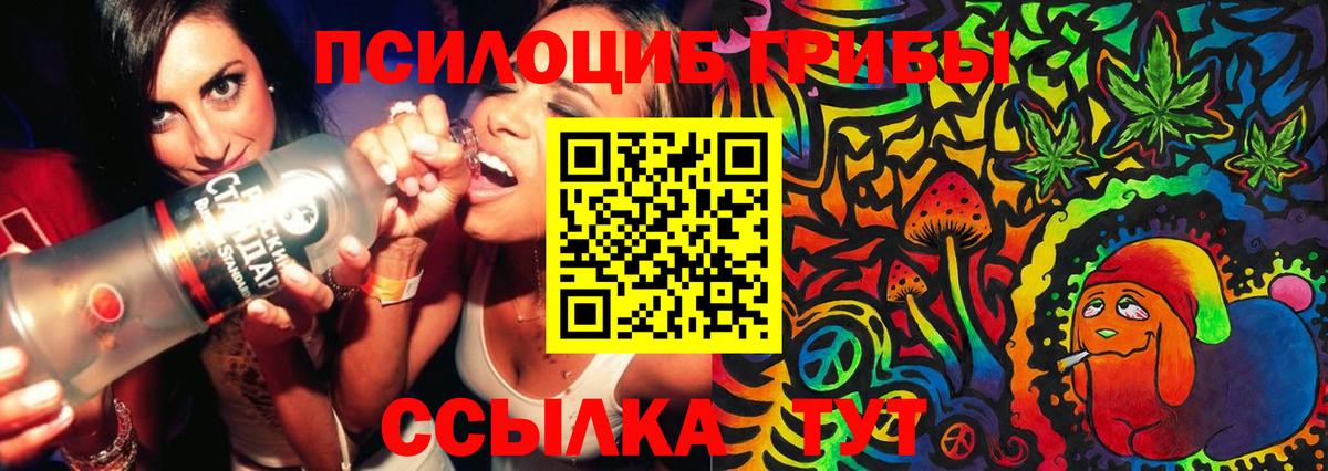 Псилоцибиновые грибы прущие грибы Лосино-Петровский